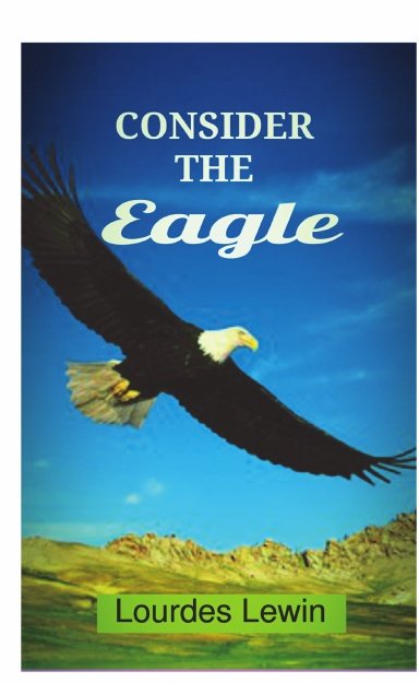 Consider the Eagle
